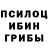Галлюциногенные грибы Cubensis Zaneta