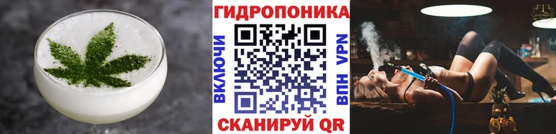 Canna-Cookies конопля  Сосновка 