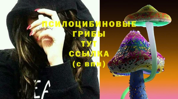 мет Балахна