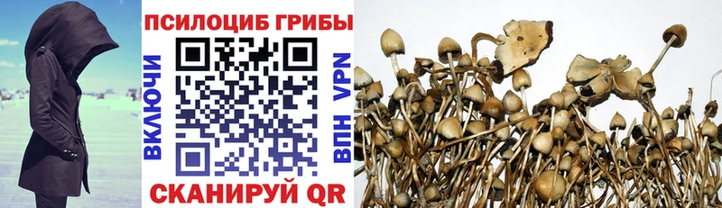 блэк спрут рабочий сайт  Сосновка  Псилоцибиновые грибы MAGIC MUSHROOMS 